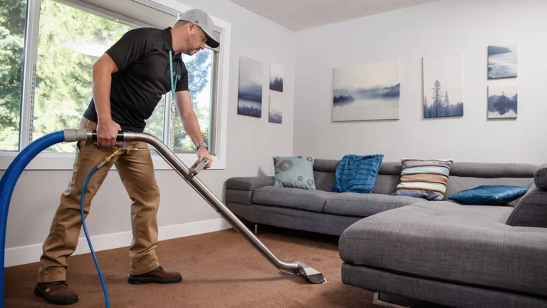 How to Care for Carpets Made from Natural Fibres