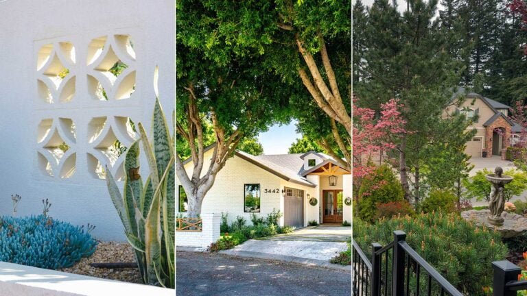 Planting a Privacy Hedge for Your Home