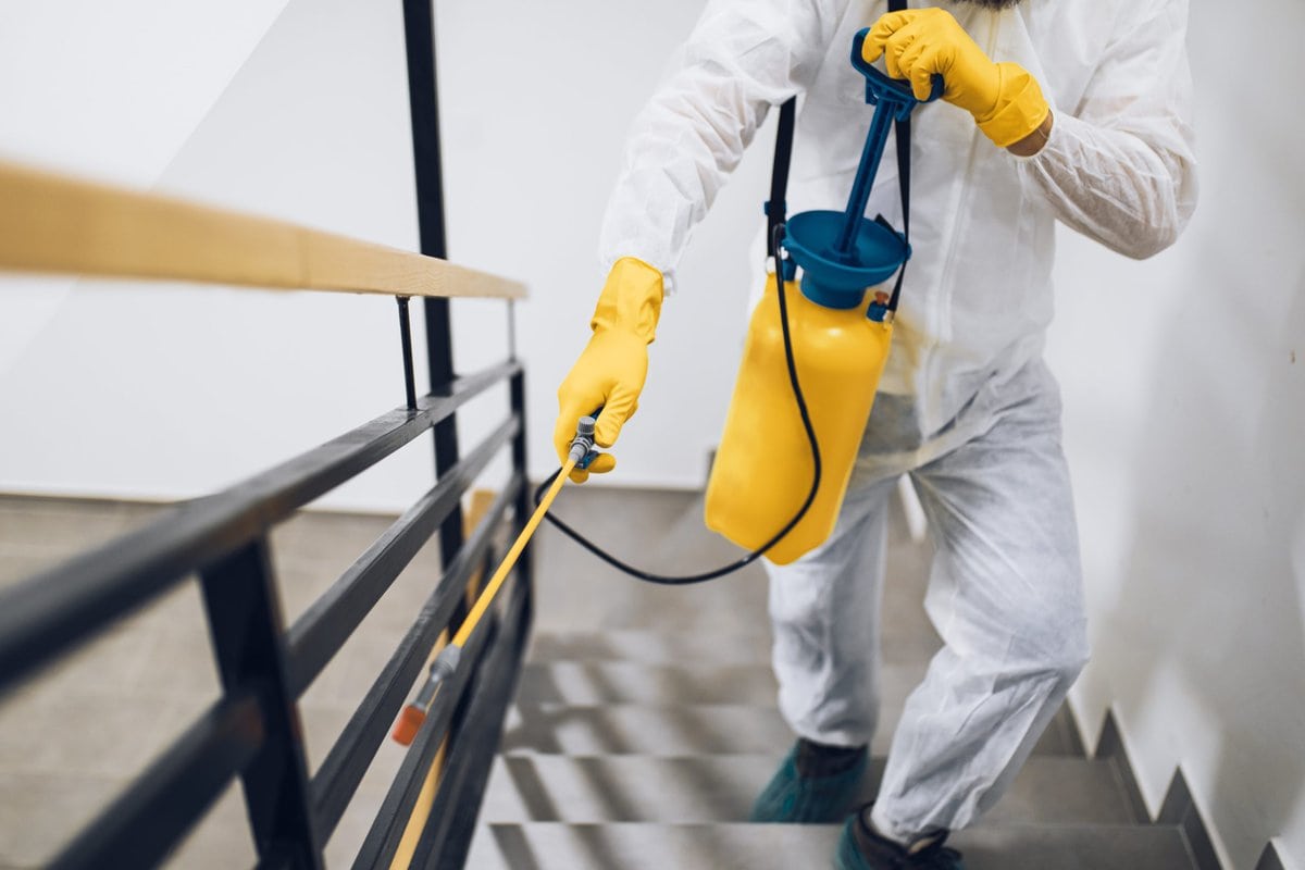 NDIS Pest Control: Ensuring Safe and Accessible Environments for All