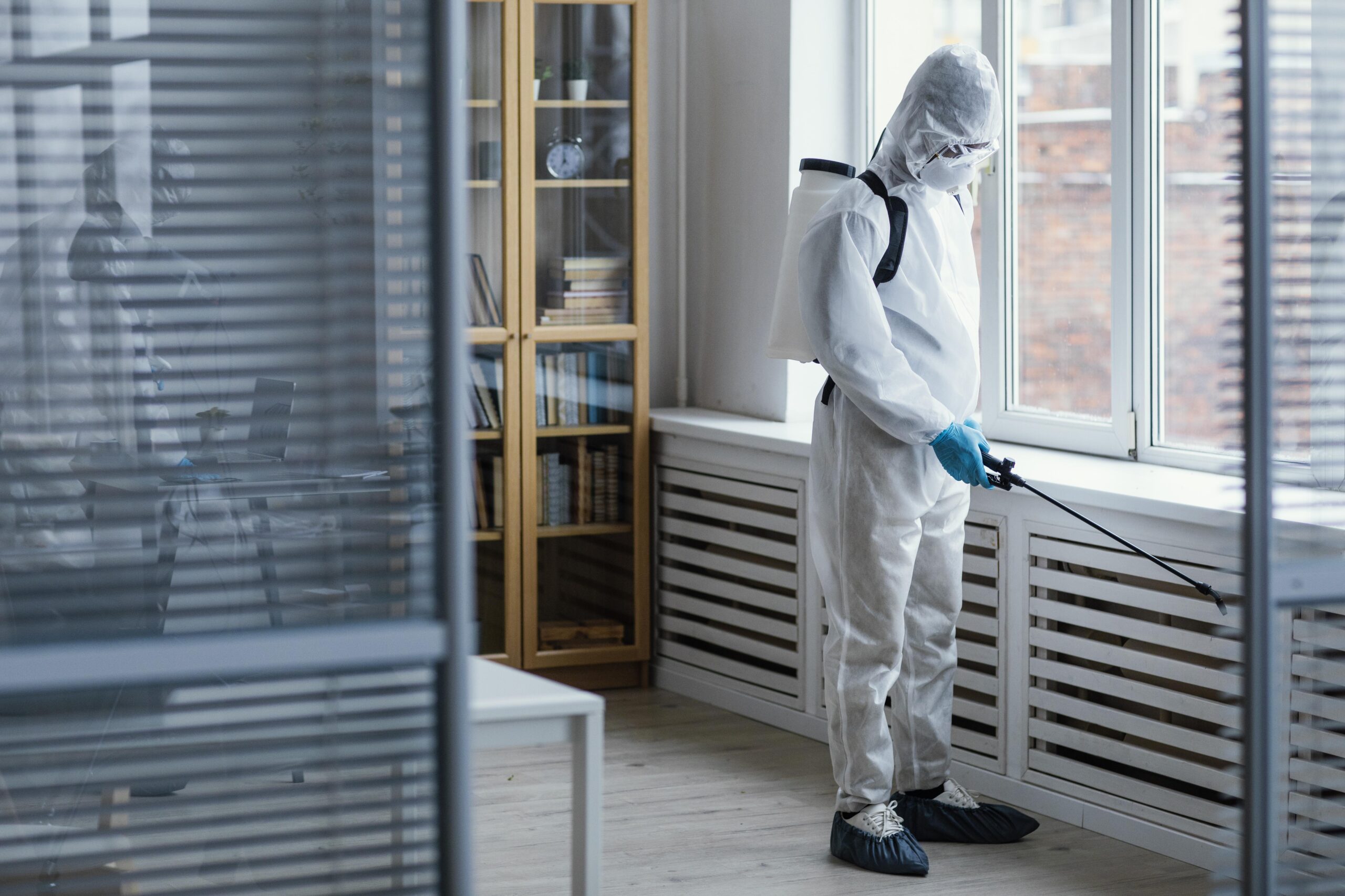 Why Pest Control Is Important? pest control