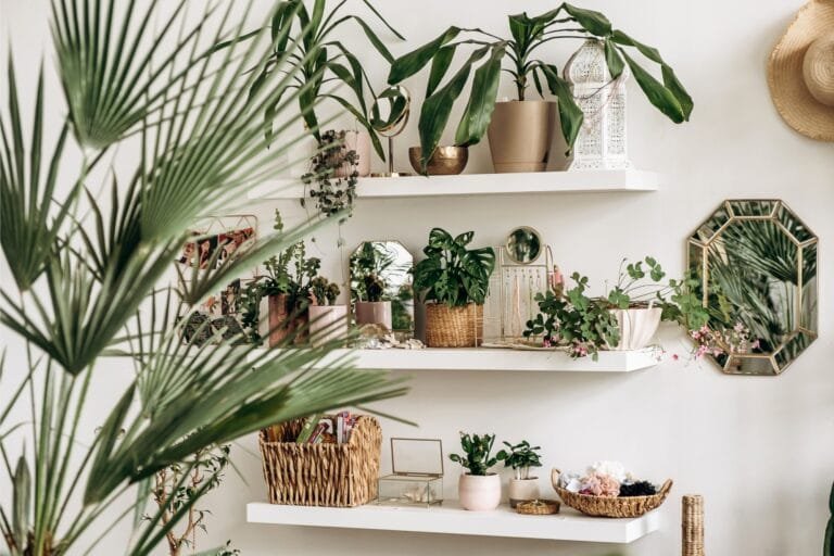 Top 10 Low-Light Indoor Plants That Thrive Without Direct Sunlight