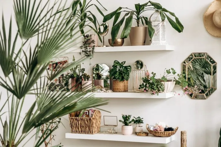 Top 10 Low-Light Indoor Plants That Thrive Without Direct Sunlight