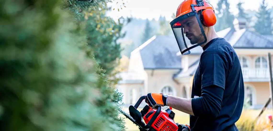 A Guide to Maintaining a Safe and Open Landscape A Guide to Maintaining a Safe and Open Landscape