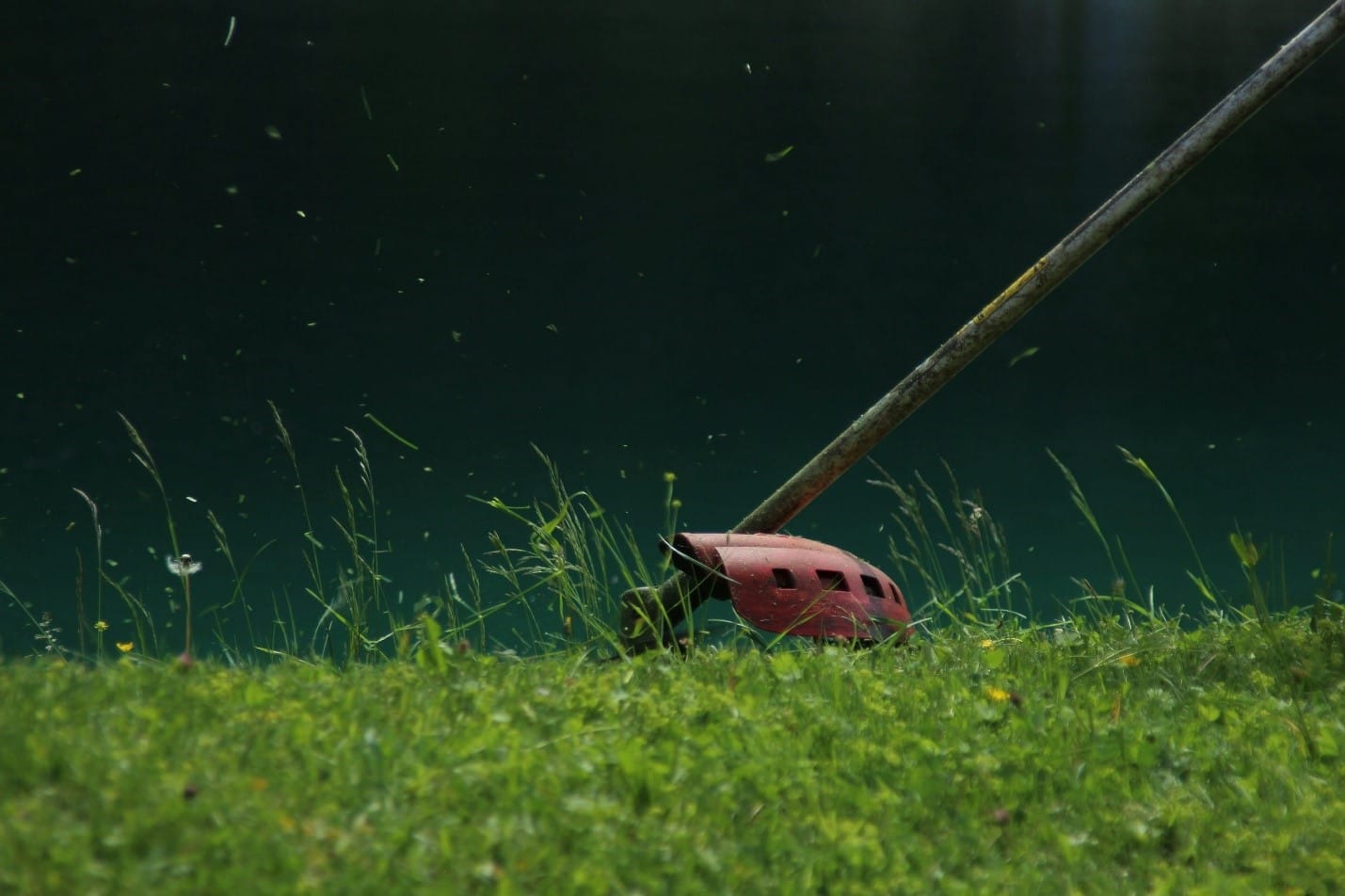 Top Uses for Brushcutters: More Than Just Clearing Brush