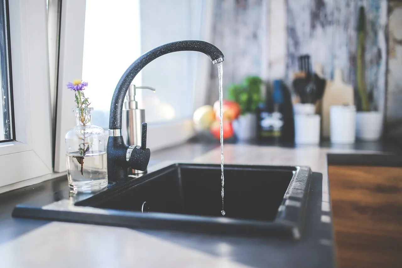 tap, black, faucet, kitchen, nature, sink, interior, design, modern, water, tap, faucet, kitchen, kitchen, kitchen, kitchen, kitchen, sink