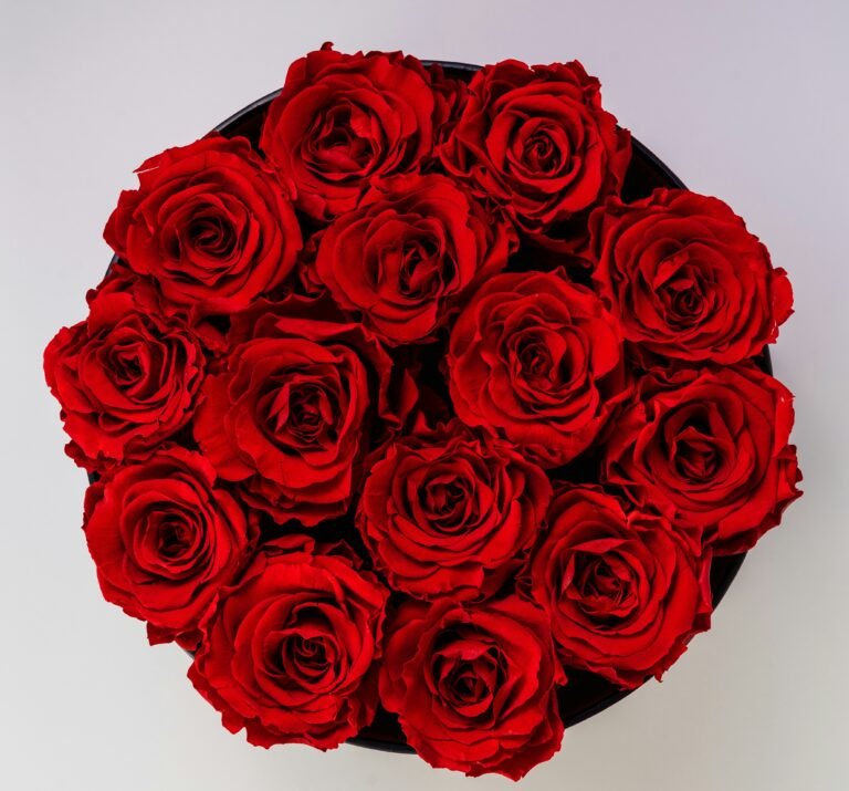 UAE Romance Guide: Top Flower Delivery Services for Special Moments