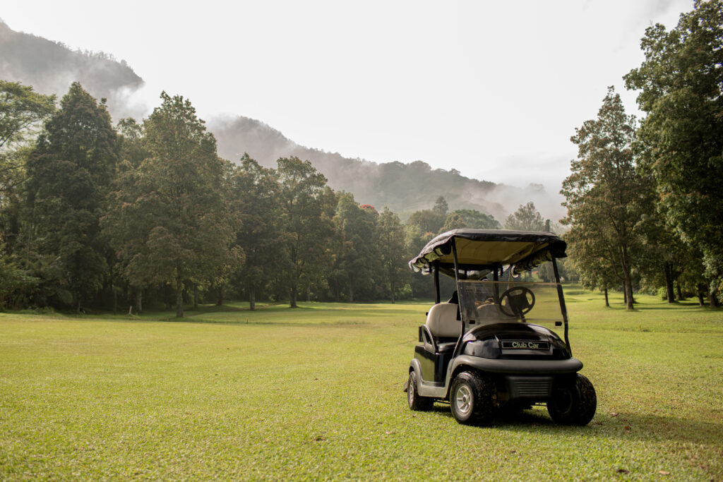 Electric Golf Cart