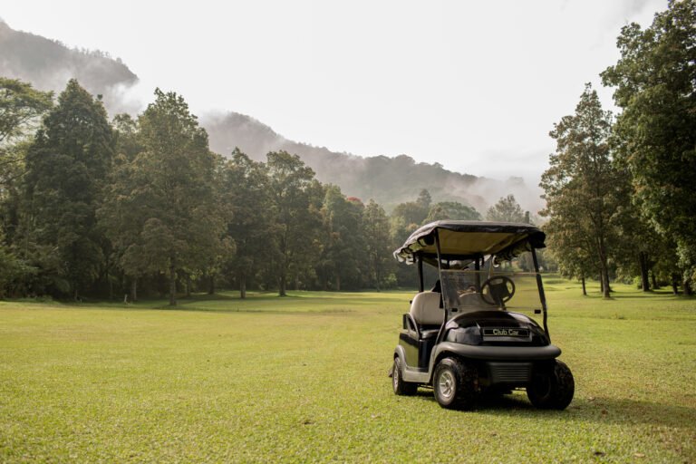 Electric Golf Cart