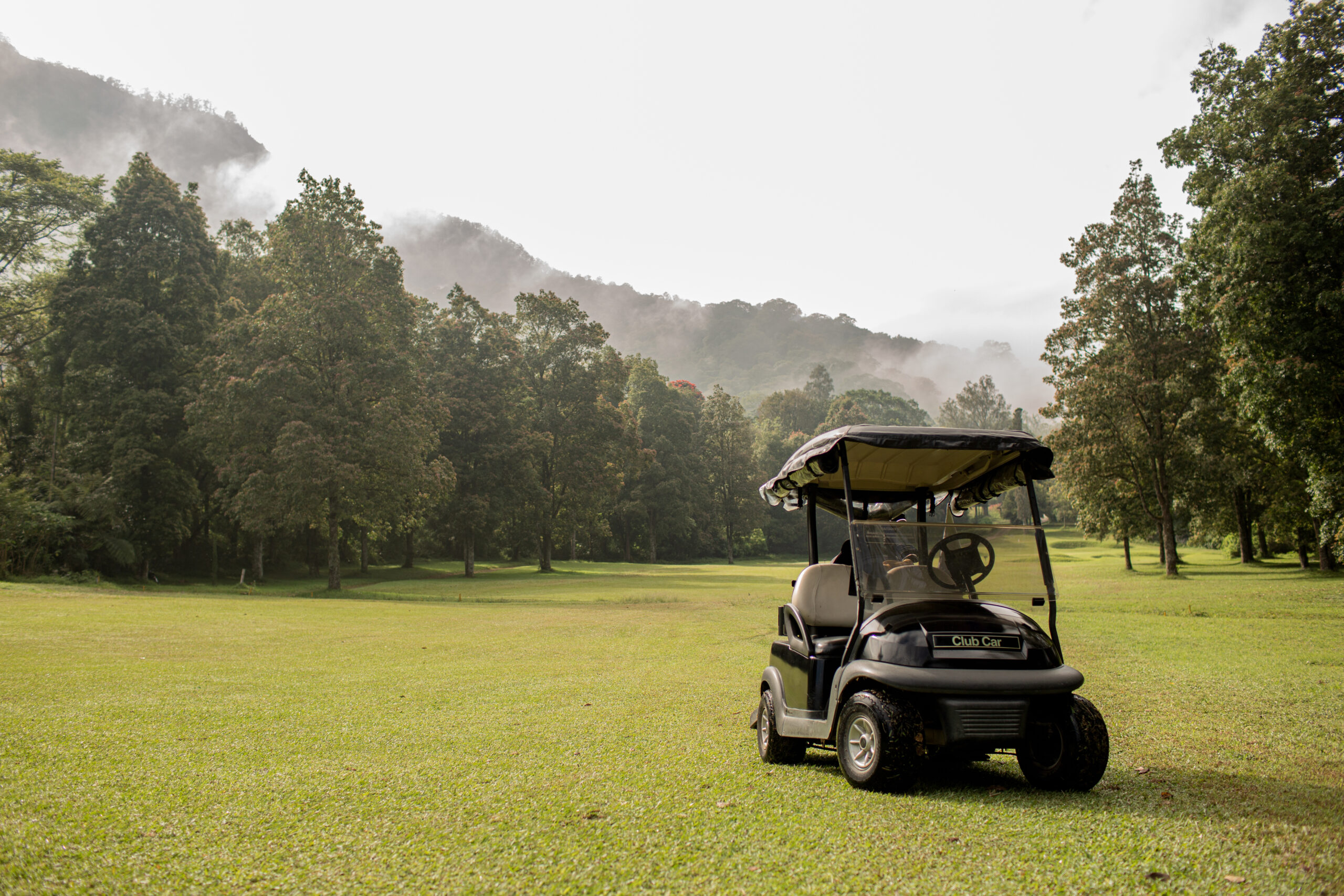 Best Ideas for Customizing Your Electric Golf Cart