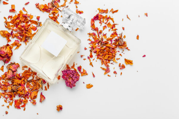 Best Fragrances for Every Occasion with Lumolog Best Fragrances for Every Occasion with Lumolog