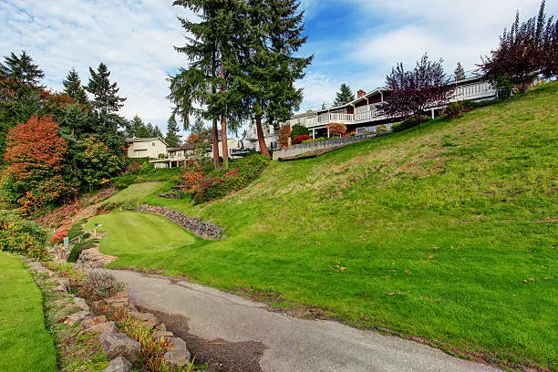 Low-Allergen Landscaping Ideas for Sensitive Households