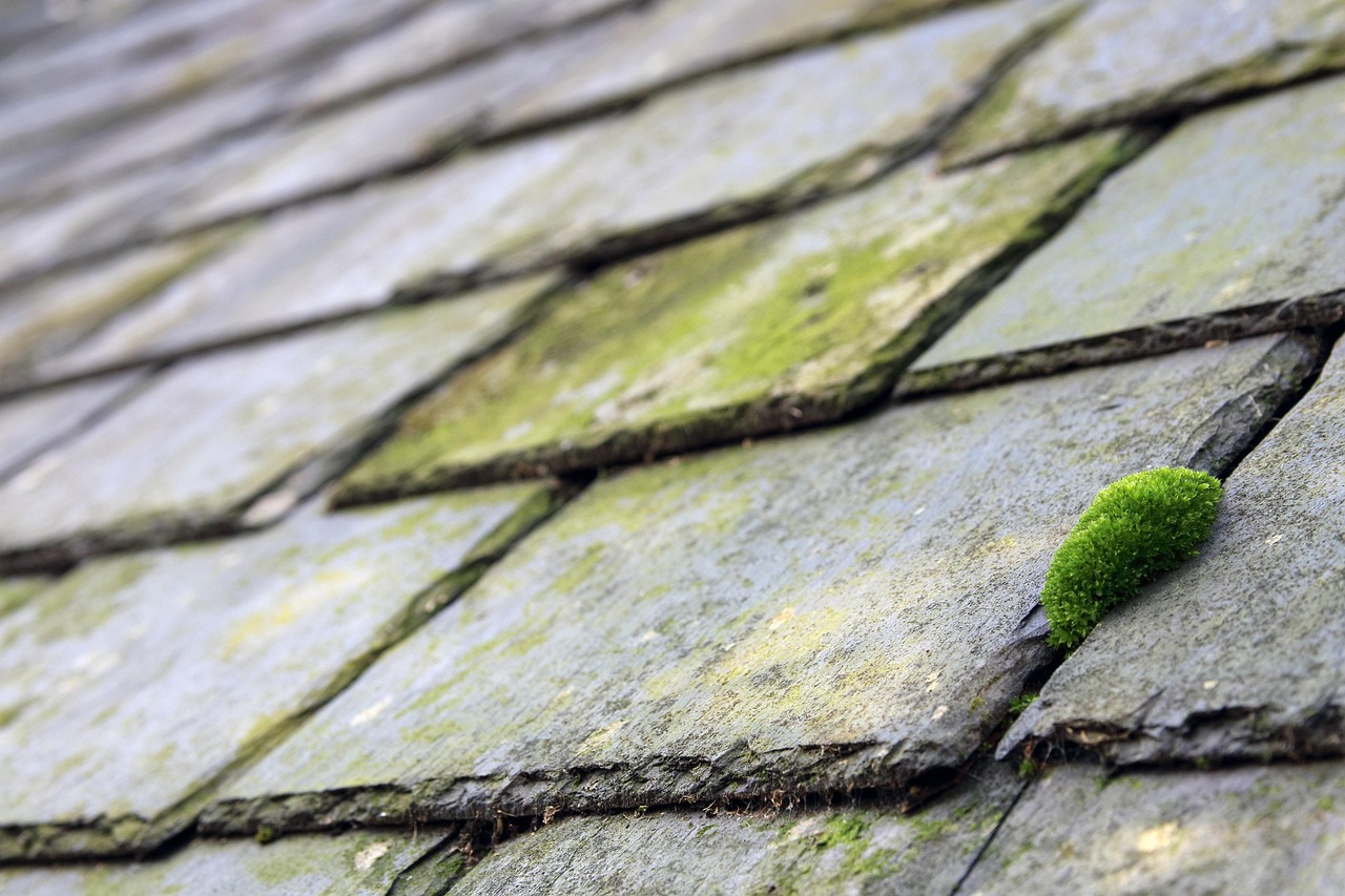 The Subtler Reasons Roofs Become Damaged